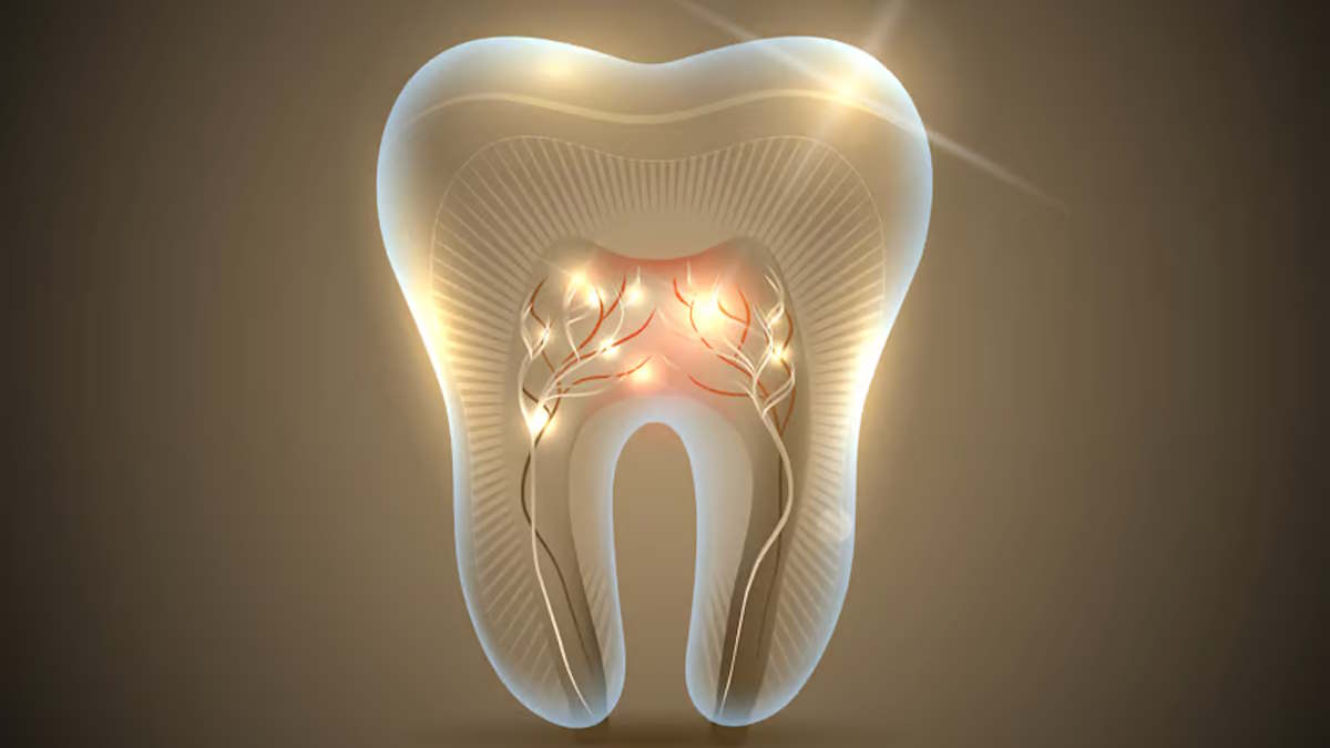 داروی رشد مجدد دندان‌ ها از شهریور ماه بر روی انسان آزمایش می‌شود