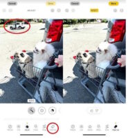 نسخه 3 بتا iOS 18.1 با یک ویژگی هوش مصنوعی جدید برای برنامه Photos منتشر شد