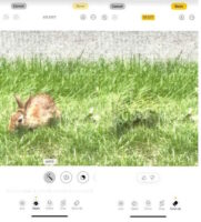 نسخه 3 بتا iOS 18.1 با یک ویژگی هوش مصنوعی جدید برای برنامه Photos منتشر شد