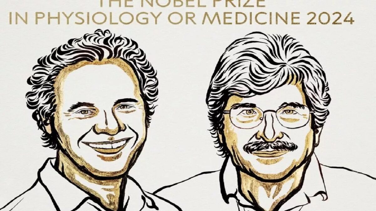 نوبل پزشکی 2024 به کاشفان microRNA تعلق گرفت