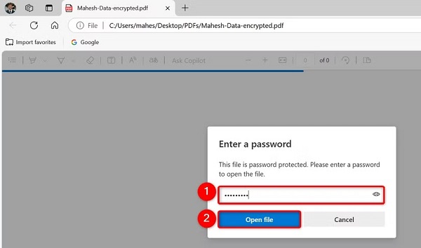 در کادر گفت‌وگوی Enter a Password، رمز عبور PDF را وارد کنید و سپس روی "Open File" کلیک کنید یا کلید Enter را فشار دهید.