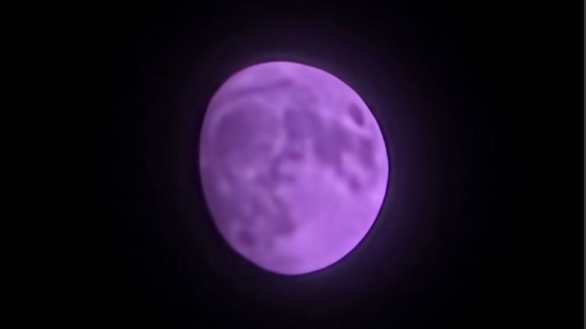 گلکسی اس 25 اولترا با مشکل عجیب دوربین مواجه شد