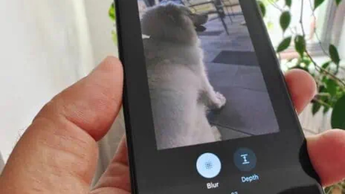 قابلیت ساخت استیکر به اپلیکیشن گوگل فوتوز در iOS اضافه شد