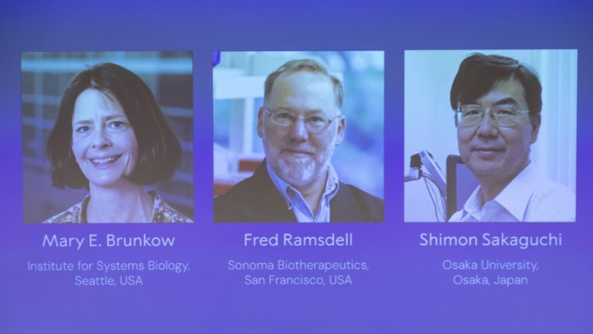 نوبل پزشکی 2025 به سه دانشمند برای کشف سلول‌های کنترل‌کننده ایمنی بدن رسید