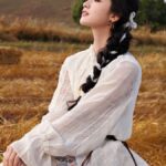 ویوو ایکس 300 پرو