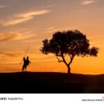 هواوی میت 80