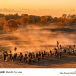 هواوی میت 80