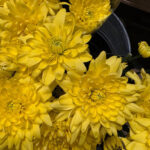 گلکسی اس 26 اولترا